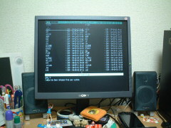 X68000XVIɐڑ郂j^SDM-S74B