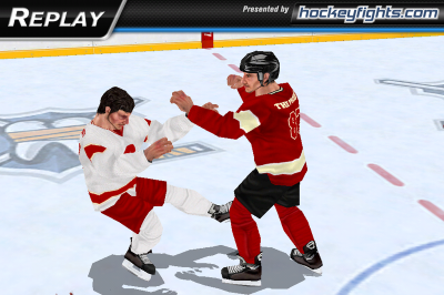 Hockey Fight PROץ쥤