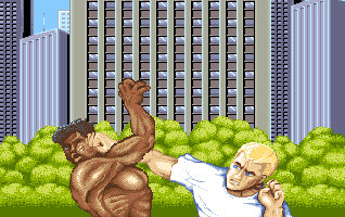 STREET FIGHTER II(AMIGA) OP