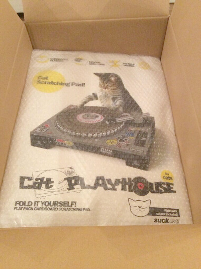 Cat Play House