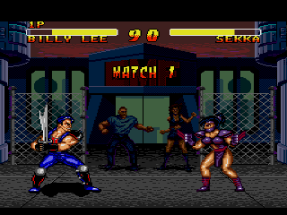 DOUBLE DRAGON  battle