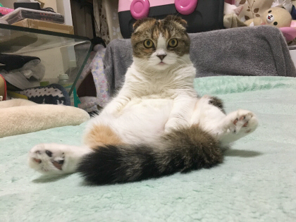スコ座り スコ座り