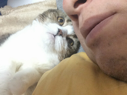 一緒に寝るひめ 一緒に寝るひめ