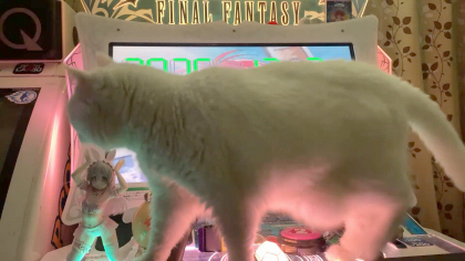 ������������